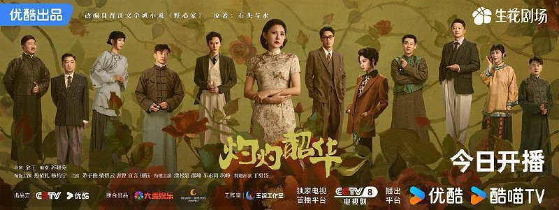 灼灼韶华 (2025)[剧情][热依扎 杨祐宁]  4K更新至32集改编自晋江石头与水小说《野心家》